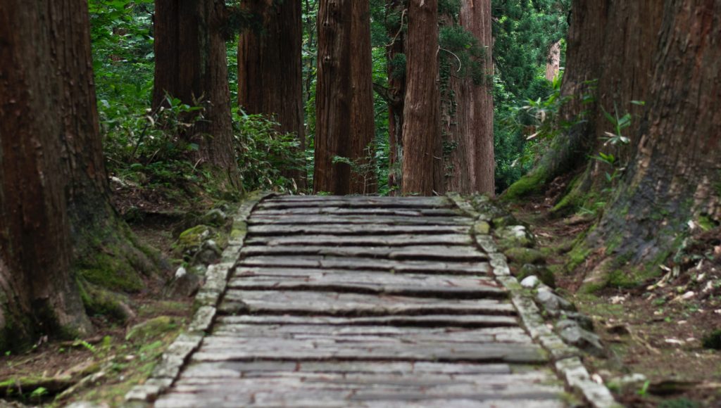 throughtthewoods-background