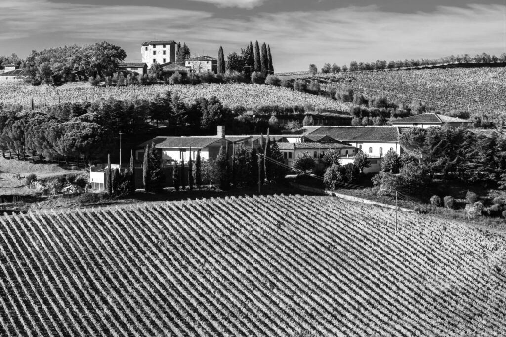 Colvita_Header_Photo
