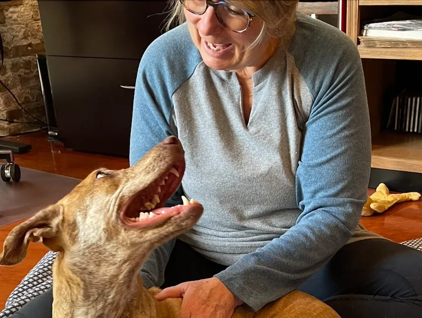 K9Therapy