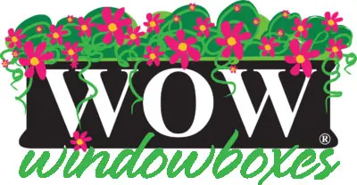 WOW-logo2-400×208 WOW-logo2-400x208
