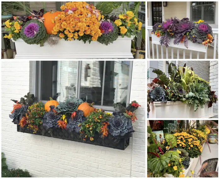 Wow-windowBoxes Wow-windowBoxes